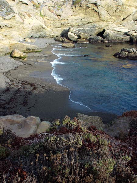 Point_Lobos_Cove