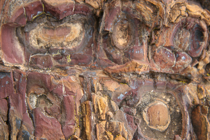 Rock Pod (Closeup)