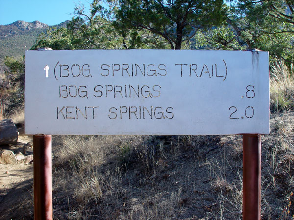 Bog_Spring_(Sign)