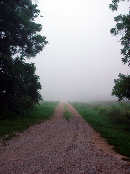 Driveway_in_Fog