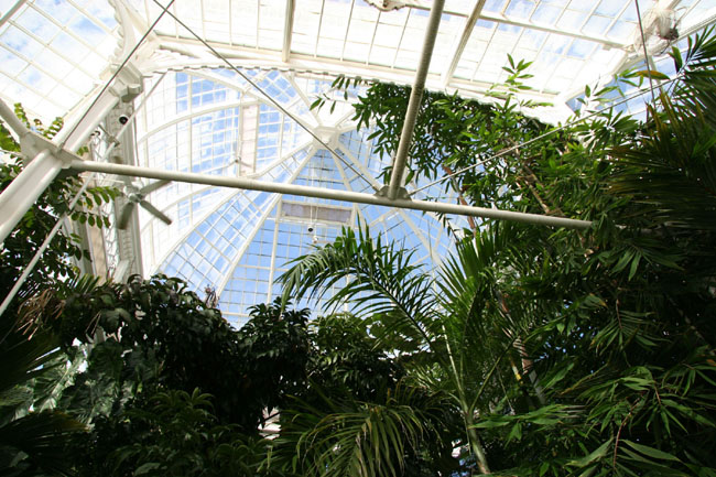 Lowland_Tropical_Dome