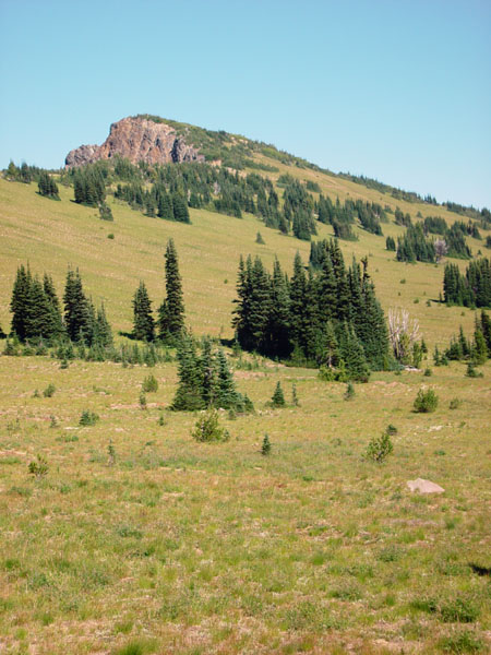 Sloping_Meadow