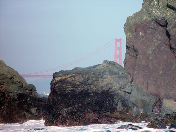 Half_Gate