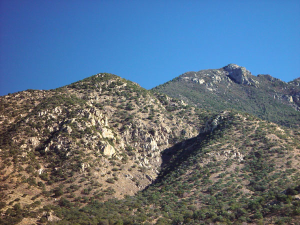 Santa_Rita_Mountains_(Closeup)