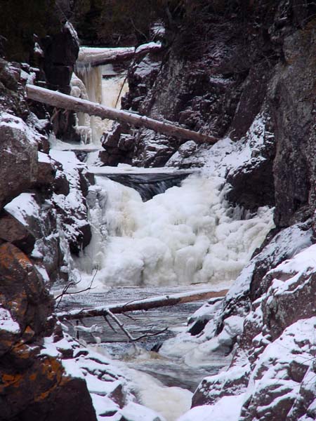 Fallen_Trees_Over_Stream