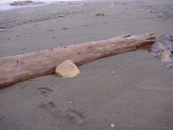 Log and Stone