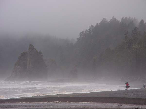 Shore Backpackers