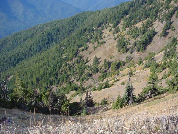Steep Valley