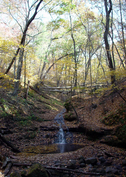 Spring_Stream